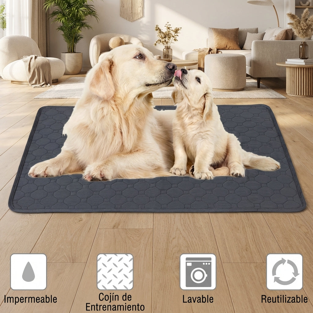 Alfombrilla Absorbente Reutilizable para Mascotas