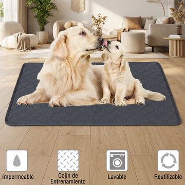 Alfombrilla Absorbente Reutilizable para Mascotas