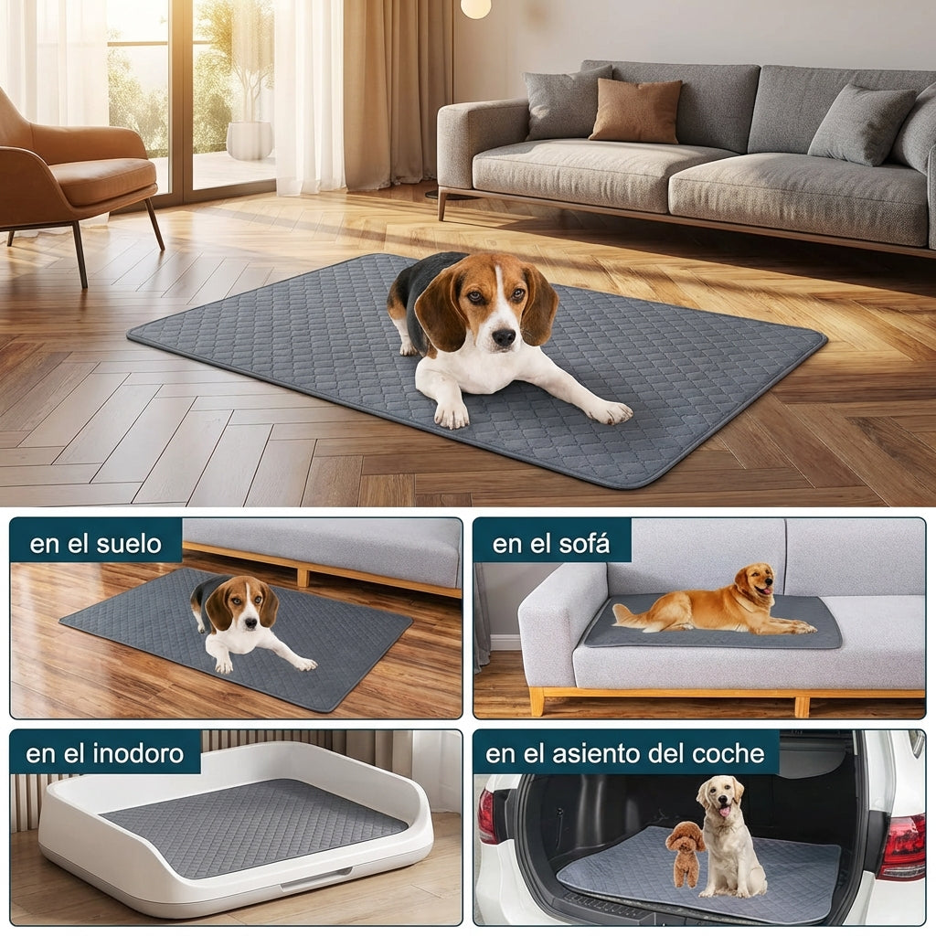 Alfombrilla Absorbente Reutilizable para Mascotas